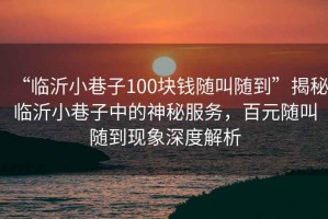 “臨沂小巷子100塊錢隨叫隨到”揭秘臨沂小巷子中的神秘服務(wù)，百元隨叫隨到現(xiàn)象深度解析
