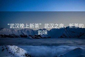 “武漢晚上新茶”武漢之夜，新茶的韻味