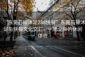 “東莞石排沐足288快餐”東莞石排沐足與快餐文化交匯，一場(chǎng)全新的休閑體驗(yàn)