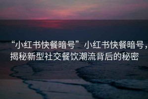 “小紅書快餐暗號”小紅書快餐暗號，揭秘新型社交餐飲潮流背后的秘密