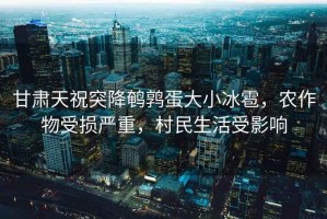 甘肅天祝突降鵪鶉蛋大小冰雹，農(nóng)作物受損嚴(yán)重，村民生活受影響