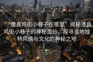 “澧縣雞街小巷子在哪里”揭秘澧縣雞街小巷子的神秘面紗，探尋當(dāng)?shù)鬲?dú)特風(fēng)情與文化的神秘之地
