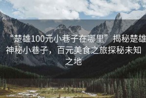 “楚雄100元小巷子在哪里”揭秘楚雄神秘小巷子，百元美食之旅探秘未知之地