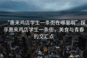 “惠來雞店學生一條街在哪里啊”探尋惠來雞店學生一條街，美食與青春的交匯點