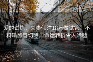 愛的試煉，夫妻傾注18萬做試管，不料輸卵管切除，命運(yùn)轉(zhuǎn)折令人唏噓