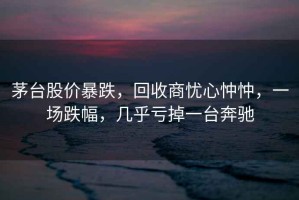 茅臺股價暴跌，回收商憂心忡忡，一場跌幅，幾乎虧掉一臺奔馳