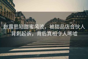 趙露思陷甜蜜風(fēng)波，被甜品店合伙人背刺起訴，背后真相令人唏噓