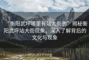 “衡陽武坪哪里有站大街的”揭秘衡陽武坪站大街現(xiàn)象，深入了解背后的文化與現(xiàn)象
