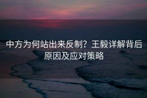 中方為何站出來反制？王毅詳解背后原因及應(yīng)對(duì)策略