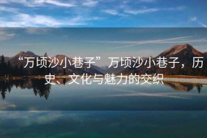“萬頃沙小巷子”萬頃沙小巷子，歷史、文化與魅力的交織