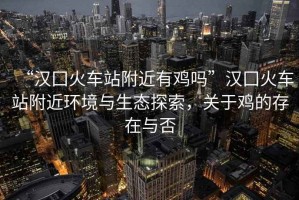“漢囗火車站附近有雞嗎”漢囗火車站附近環(huán)境與生態(tài)探索，關于雞的存在與否