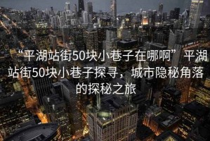 “平湖站街50塊小巷子在哪啊”平湖站街50塊小巷子探尋，城市隱秘角落的探秘之旅