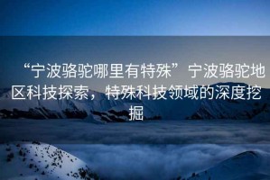 “寧波駱駝哪里有特殊”寧波駱駝地區(qū)科技探索，特殊科技領域的深度挖掘