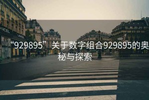 “929895”關(guān)于數(shù)字組合929895的奧秘與探索
