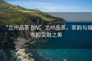 “蘭州品茶 加V”蘭州品茶，茶韻與城市的交融之美