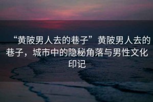 “黃陂男人去的巷子”黃陂男人去的巷子，城市中的隱秘角落與男性文化印記