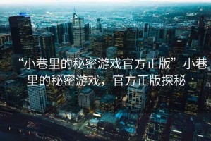 “小巷里的秘密游戲官方正版”小巷里的秘密游戲，官方正版探秘
