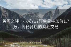 黃河之畔，小米YU7訂單黃牛加價(jià)1.7萬，揭秘背后的瘋狂交易