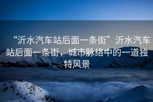 “沂水汽車站后面一條街”沂水汽車站后面一條街，城市脈絡(luò)中的一道獨(dú)特風(fēng)景