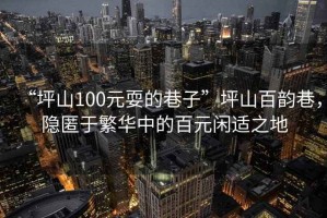 “坪山100元耍的巷子”坪山百韻巷，隱匿于繁華中的百元閑適之地