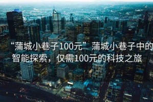 “蒲城小巷子100元”蒲城小巷子中的智能探索，僅需100元的科技之旅