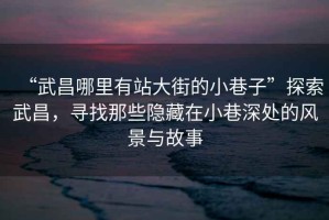 “武昌哪里有站大街的小巷子”探索武昌，尋找那些隱藏在小巷深處的風(fēng)景與故事