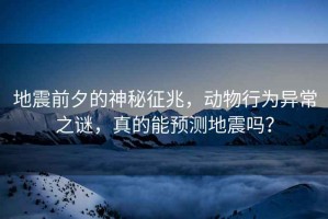 地震前夕的神秘征兆，動(dòng)物行為異常之謎，真的能預(yù)測(cè)地震嗎？