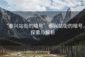 “泰興站街的暗號(hào)”泰興站街的暗號(hào)，探索與解析