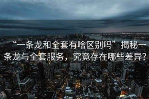 “一條龍和全套有啥區(qū)別嗎”揭秘一條龍與全套服務(wù)，究竟存在哪些差異？
