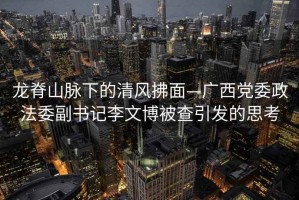 龍脊山脈下的清風(fēng)拂面—廣西黨委政法委副書(shū)記李文博被查引發(fā)的思考