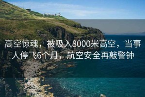 高空驚魂，被吸入8000米高空，當事人停飛6個月，航空安全再敲警鐘