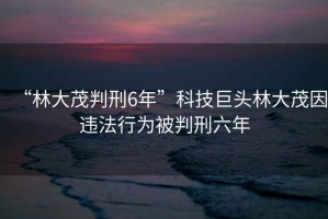“林大茂判刑6年”科技巨頭林大茂因違法行為被判刑六年