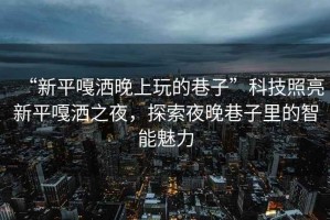 “新平嘎灑晚上玩的巷子”科技照亮新平嘎灑之夜，探索夜晚巷子里的智能魅力