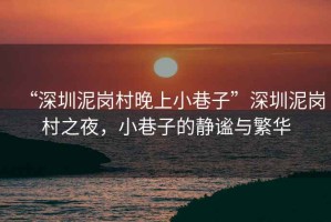 “深圳泥崗村晚上小巷子”深圳泥崗村之夜，小巷子的靜謐與繁華