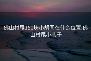 佛山村尾150塊小胡同在什么位置:佛山村尾小巷子