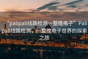 “palipali線路檢測(cè)一整晚電子”Palipali線路檢測(cè)，一整晚電子世界的探索之旅