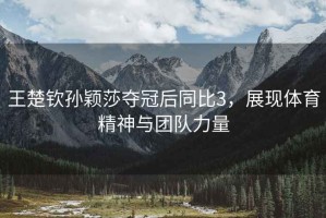 王楚欽孫穎莎奪冠后同比3，展現(xiàn)體育精神與團隊力量