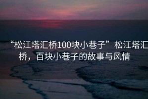 “松江塔匯橋100塊小巷子”松江塔匯橋，百塊小巷子的故事與風(fēng)情
