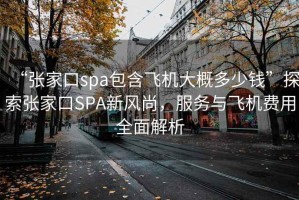 “張家口spa包含飛機(jī)大概多少錢”探索張家口SPA新風(fēng)尚，服務(wù)與飛機(jī)費用全面解析