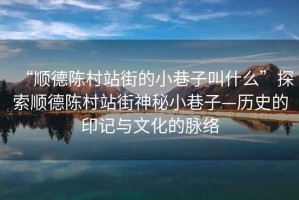 “順德陳村站街的小巷子叫什么”探索順德陳村站街神秘小巷子—歷史的印記與文化的脈絡(luò)