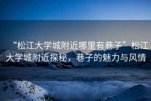 “松江大學(xué)城附近哪里有巷子”松江大學(xué)城附近探秘，巷子的魅力與風(fēng)情