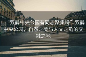 “雙鶴中央公園有同志聚集嗎”雙鶴中央公園，自然之美與人文之韻的交融之地