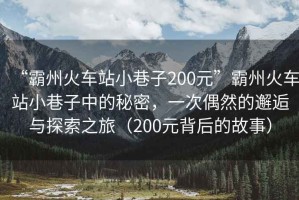 “霸州火車站小巷子200元”霸州火車站小巷子中的秘密，一次偶然的邂逅與探索之旅（200元背后的故事）