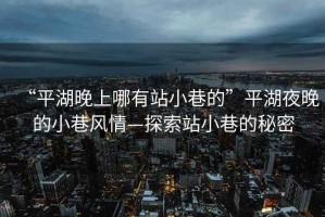 “平湖晚上哪有站小巷的”平湖夜晚的小巷風(fēng)情—探索站小巷的秘密