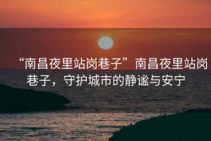 “南昌夜里站崗巷子”南昌夜里站崗巷子，守護(hù)城市的靜謐與安寧