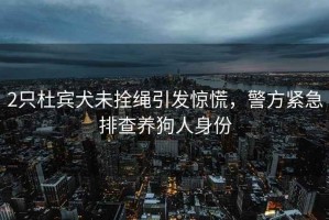 2只杜賓犬未拴繩引發(fā)驚慌，警方緊急排查養(yǎng)狗人身份
