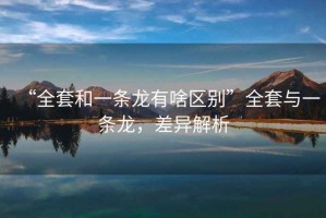 “全套和一條龍有啥區(qū)別”全套與一條龍，差異解析