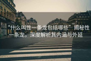 “什么叫性一條龍包括哪些”揭秘性一條龍，深度解析其內(nèi)涵與外延