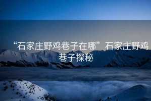 “石家莊野雞巷子在哪”石家莊野雞巷子探秘