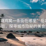 “岳塘雞窩一條街在哪里”岳塘雞窩一條街，探尋城市隱秘的美食勝地